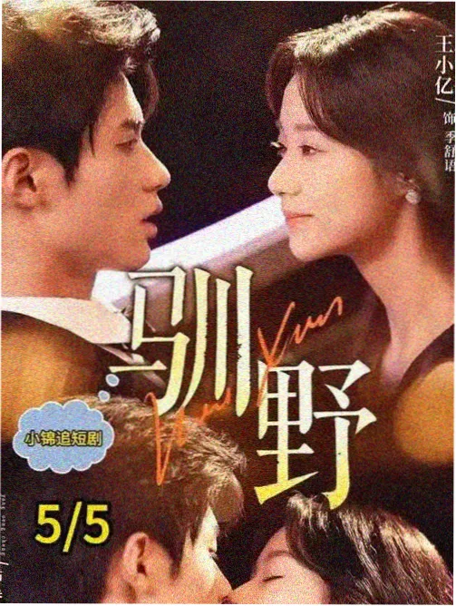 咒术回战涩谷事变 西瓜影音网